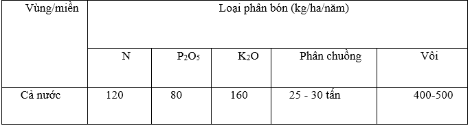 bón phân cho dưa lưới 1_1705909716.PNG